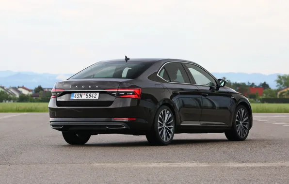 Asphalt, sedan, Skoda, Skoda, four-door, Superb, 2020, the color is a dark unfiltered beer