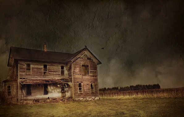 Picture field, home, texture