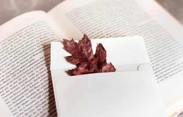 Picture autumn, white, text, sheet, leaf, book, page, the envelope