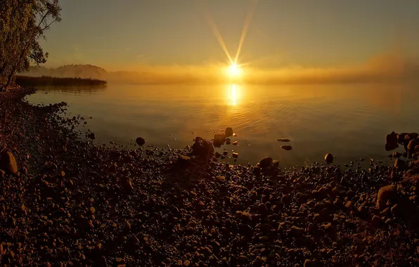 The sky, the sun, trees, sunset, fog, lake, stones, shore