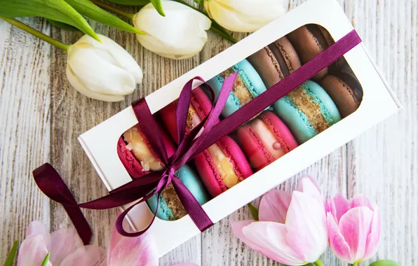 Colorful, tulips, pink, tulips, macaroons, macaron, macaroon