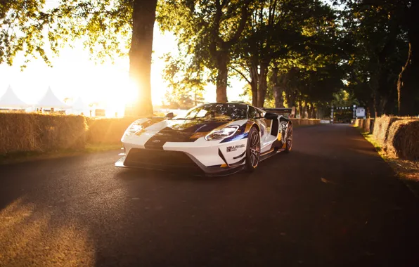 Picture Ford, Trees, Ford GT, sports car, Mk II