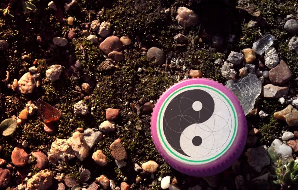 Picture glass, stones, earth, cover, Yin-Yang