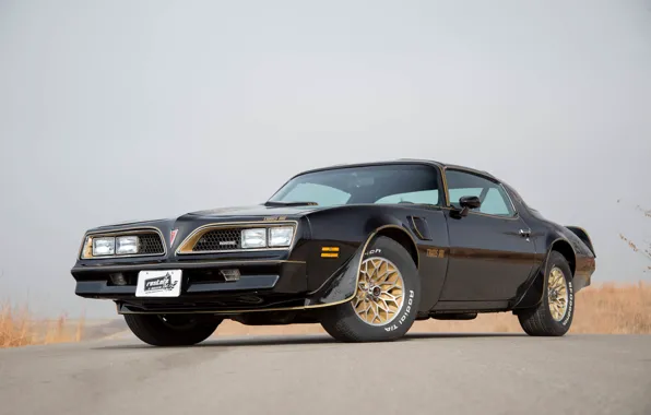 Car, Black, muscle, Pontiac, 1979, Trans