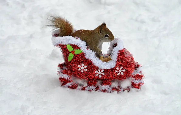 Winter, snow, snowflakes, toy, protein, Christmas, the snow, red