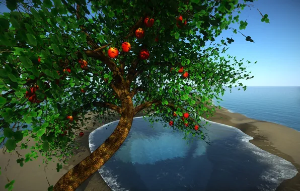 Sea, leaves, trees, collage, fruit