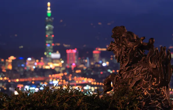 Night, the city, lights, dragon, statue, Taipei, wood