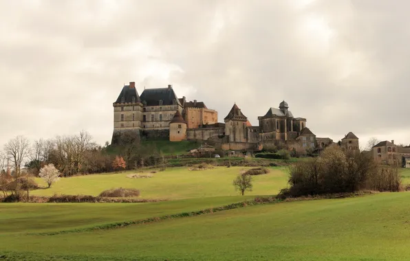 Grass, the city, photo, castle, France, meadows, Chateau de Biron
