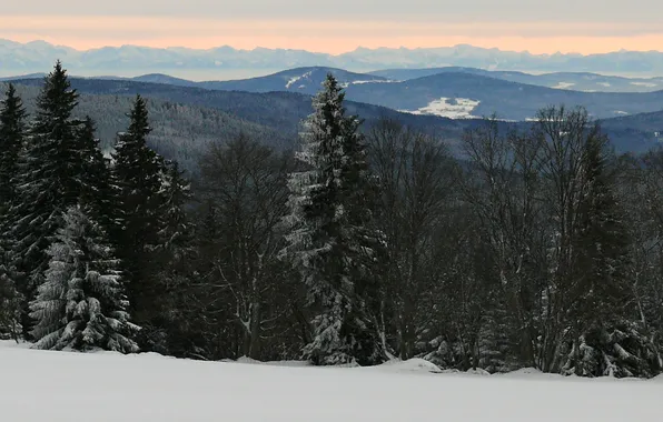 Winter, forest, snow, mountains, Czech Republic, Sumava, Sumava national Park, the village of Horská Kvilda
