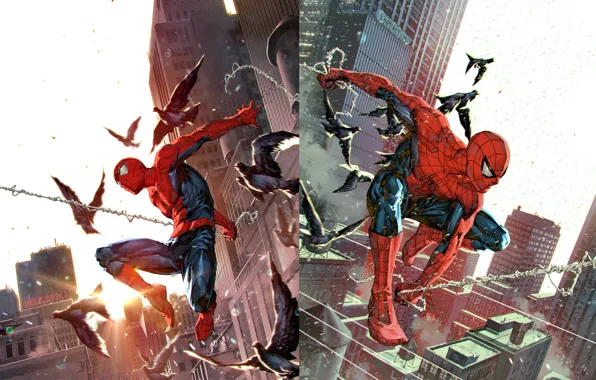 The city, Web, Hero, Superhero, Art, Marvel, Comics, Spider-Man