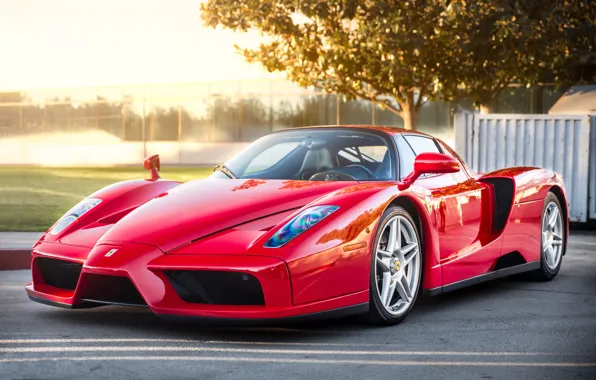 Ferrari, red, supercar, Enzo