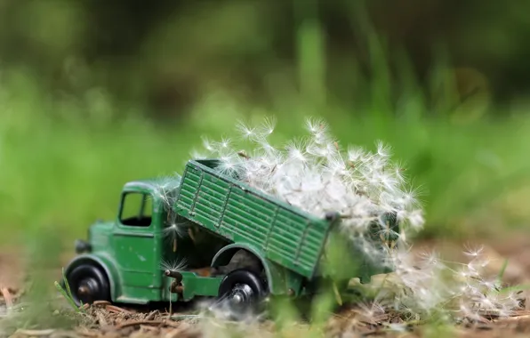 Nature, toy, truck, dandelions