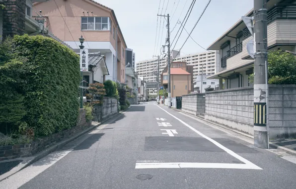 100+ Japan Street Pictures | Download Free Images on Unsplash