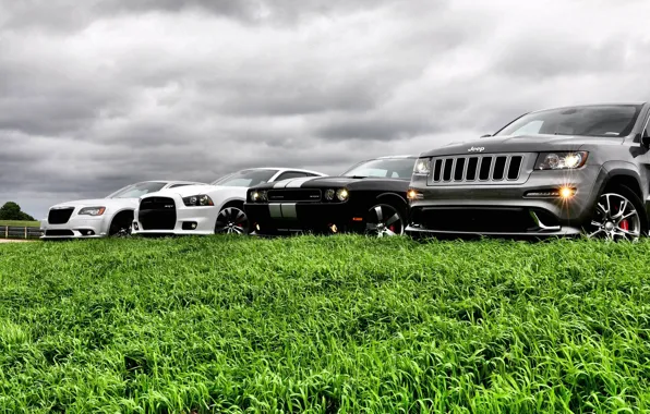 Picture auto, the sky, grass, krastaa, jeep grand cherokee, dodge challenger str8, chrysler 300 srt8, dodge …