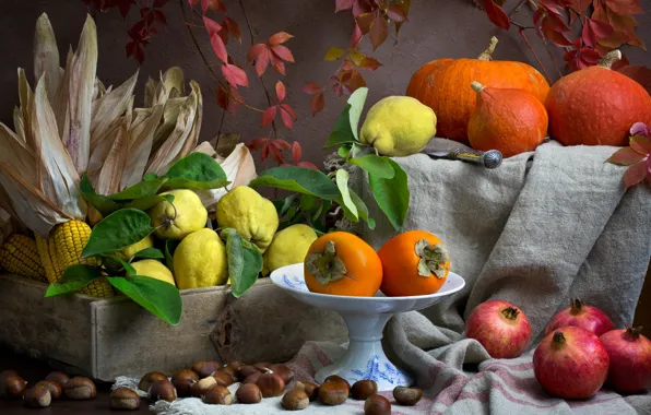 The dark background, food, corn, pumpkin, dishes, fruit, still life, composition