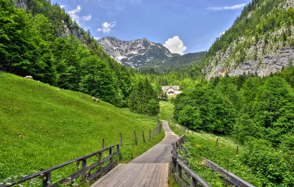 Road, the sky, grass, clouds, trees, mountains, house, slope