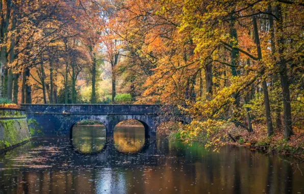 Autumn, trees, bridge, Park, river, Netherlands