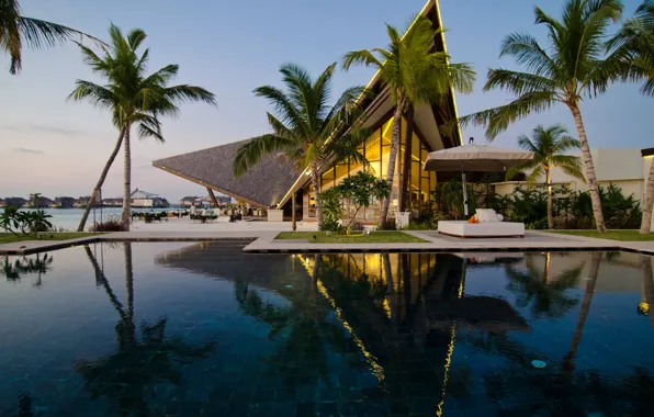 Palm trees, the ocean, pool, The Maldives, resort, Maldives, Jumeirah Vittaveli, Hybris