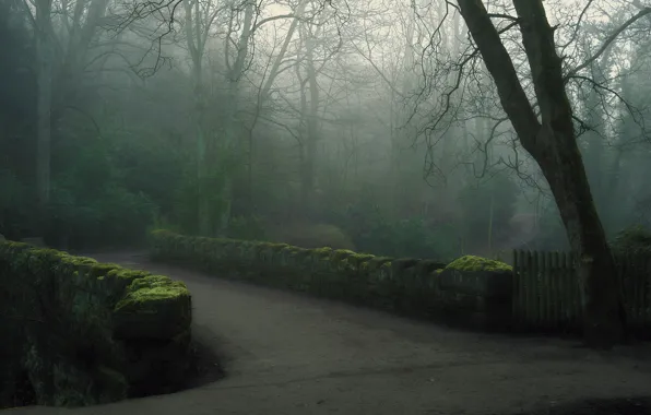 Picture bridge, fog, Park, morning
