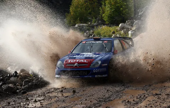 Picture Citroen, Citroen, Squirt, WRC, Rally, Rally, Xsara, Xavier Pons