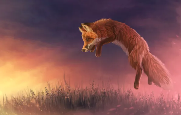 Picture sunset, nature, jump, Fox, by CreeperMan0508