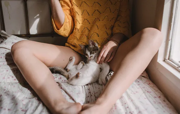 Cat, girl, light, pose, kitty, feet, hands, mattress