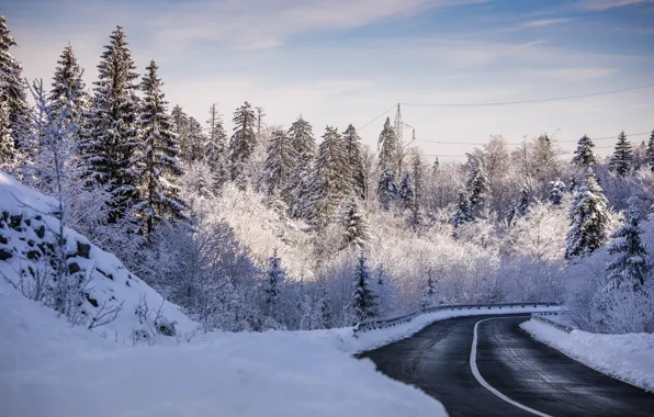 Winter, road, forest, snow, trees, Croatia
