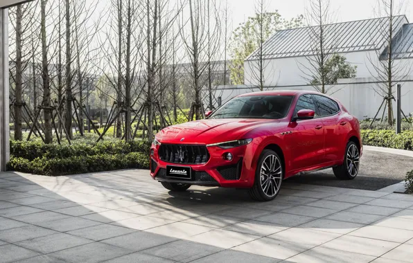 Picture Maserati, crossover, Launch Edition, Trophy, Levante, 2019