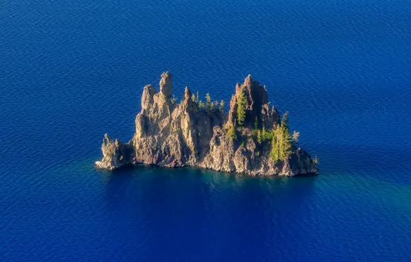 Sea, water, rock, tree, Island