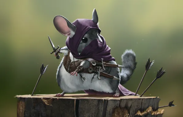 Warrior, art, Assassin, chinchilla, furry with weapon