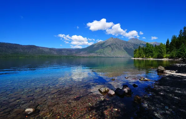 Picture forest, mountains, lake, stones, Nature