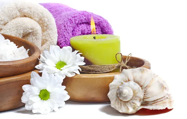 Picture flowers, chamomile, relax, shell, flowers, Spa, daisy, candle