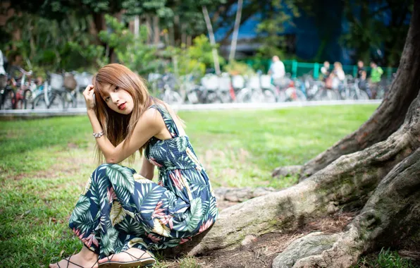 Picture look, girl, Asian