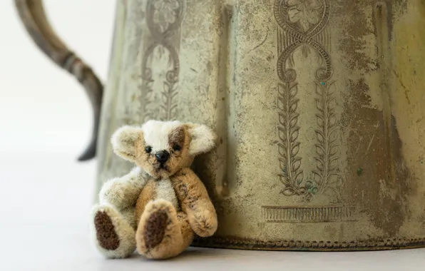 Toy, bear, pitcher