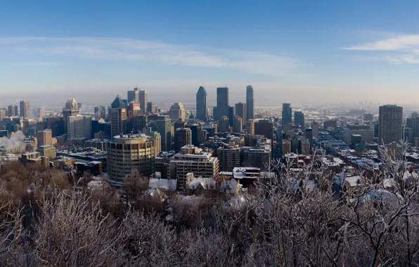Winter, snow, trees, Montreal, Canada