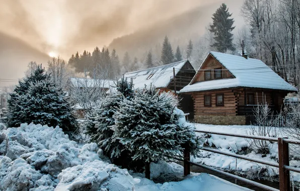 Winter, frost, forest, the sun, clouds, light, snow, trees