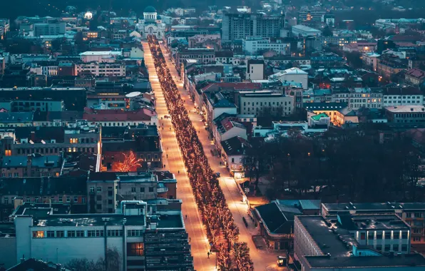Christmas Lights, Lithuania, Kaunas, Freedom alley