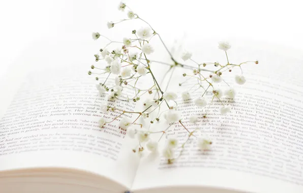 Picture flowers, sprig, branch, book, white