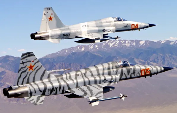 Picture fighter, multipurpose, "Freedom Fighter", Tiger II, Northrop F-5