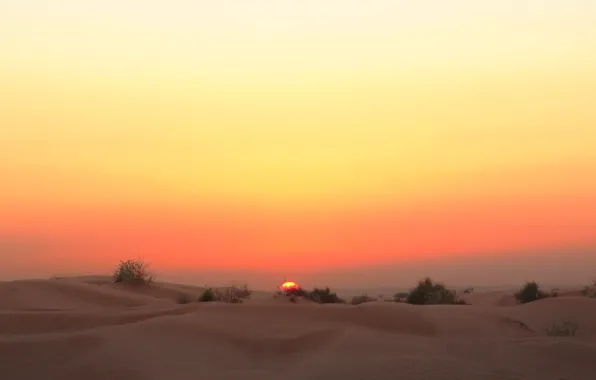 Sunset, the dunes, desert