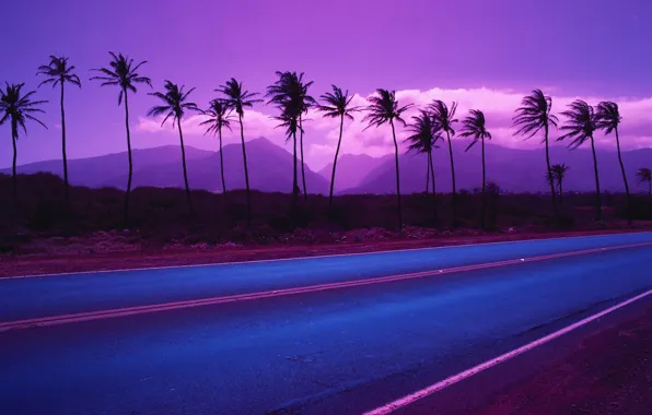 Road, mountains, palm trees, color, 153