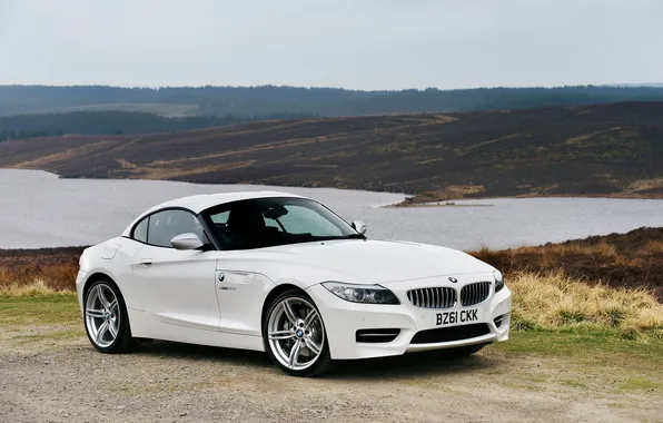 Car, machine, the sky, grass, water, nature, lake, grass