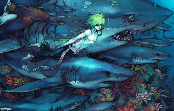 Picture sea, anime, male, sharks, underwater world, Ponyo