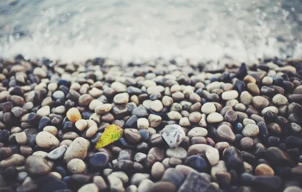 Picture sheet, stones, leaf, a lot