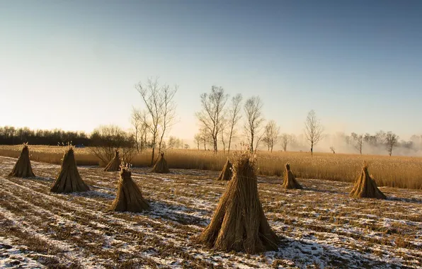 Field, snow, landscape, nature, hay