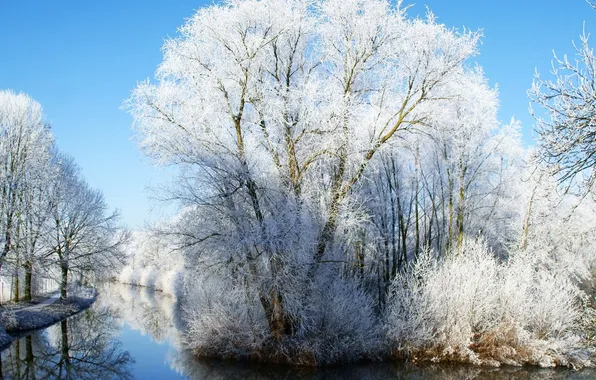 Winter, the sky, snow, trees, nature, river, photo