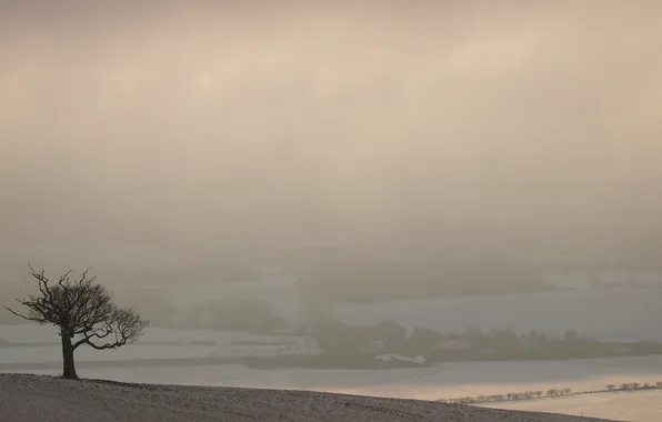 Picture snow, trees, nature, hills, village, view, home, village