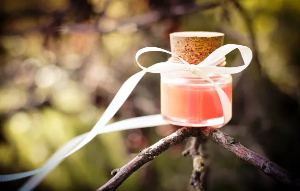 Picture nature, tree, branch, tube, bow, ribbon, jar