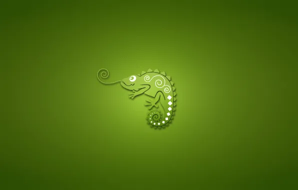 Picture chameleon, minimalism, green background, chameleon