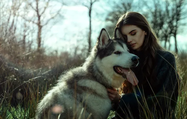 Girl, background, dog